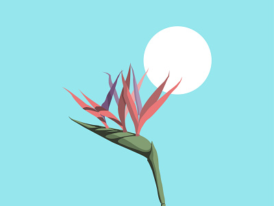 Flora design graphic design illustration vec vector