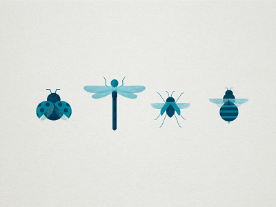 Insects bee beetle bug dragonfly illustration insect ladybug wings