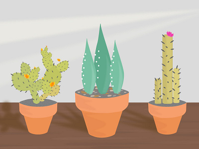 Cactus Makes Perfect cactus gardening plant practice succulent window