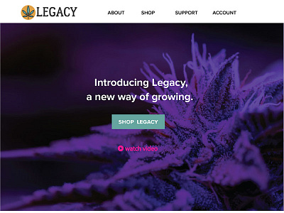 Legacy Website