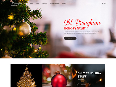 Old Brougham branding creative design graphic design illustration logo ui ux vector