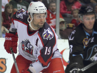 Grand Rapids Griffins griffins