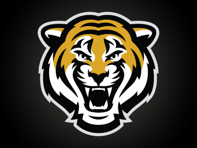Detroit Tigers rebrand by Sidney on Dribbble