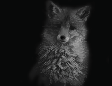 Fox WIP digital fox painting realism
