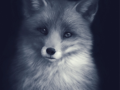 Fox Digital Painting art digital fox illustration painting realism