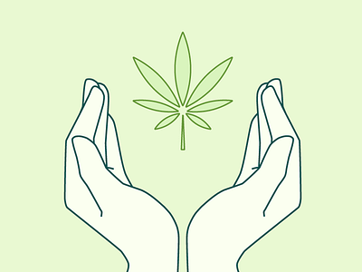 Cultivate Icon cannabis cultivate growing hands icon illustration illustrator marijuana pot leaf vector