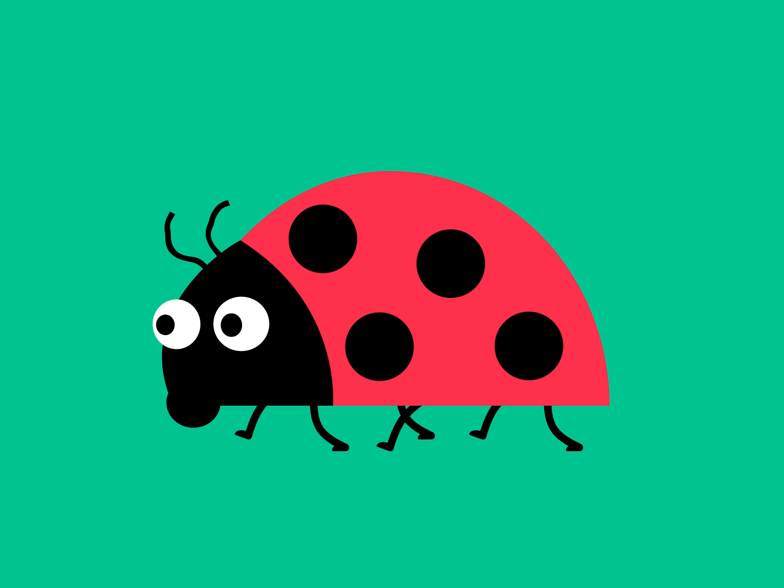 Ladybug animation design illustration motion graphics vector