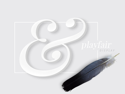 & - Illustration ampersand feather font playfair random white