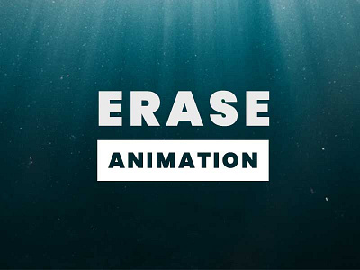 Erase Animation HTML CSS JS