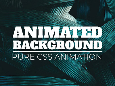 CSS Only Animated Background animation css css animated background css animation examples css3 divinectorweb frontend html html5 webdesign
