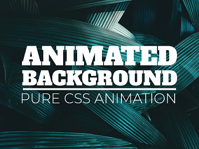 CSS Only Animated Background