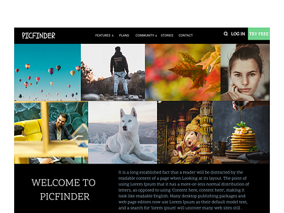 PICFINDER Web Page UI Design design digitaluidesign graphic design ui ux website