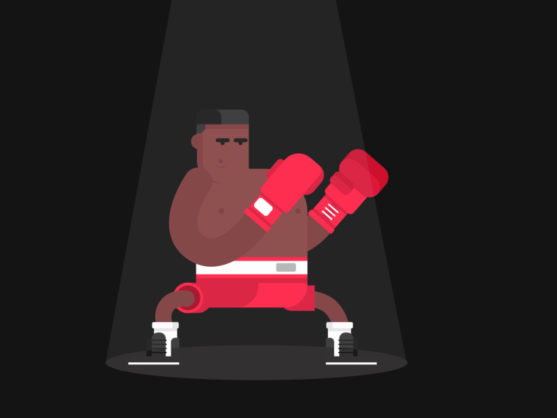 Boxer boxer