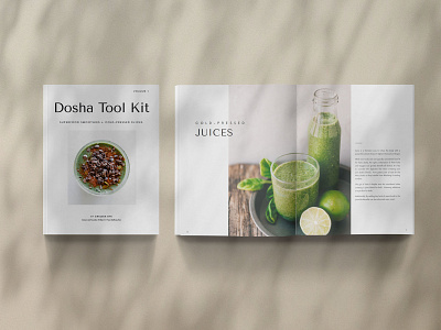 Ayurveda Cook Book branding design graphic design typography