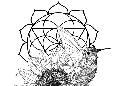 Solar Plexus Chakra Illustration design graphic design illustration