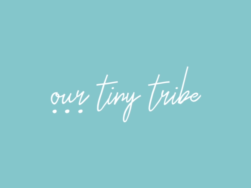 OTT LOGO ANIMATION intro lettering style logo animation logo reveal our tiny tribe