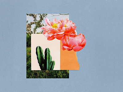 Collage cactus collage floral flower layers layout mixed media