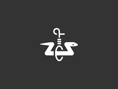 Snake Noose branding design emblem icon logo metal noose snake