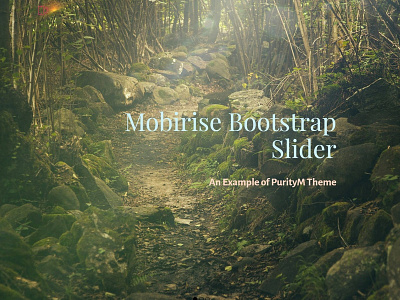 Mobirise Bootstrap Slider - An Example of PurityM Theme