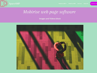 Mobirise web page software - Images and Videos block