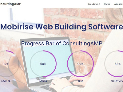 Mobirise Web Building Software - Progress Bar of ConsultingAMP