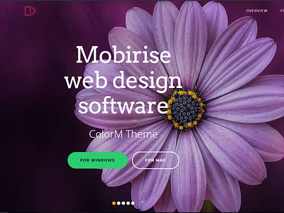 Mobirise Web Design Software -  ColorM Theme