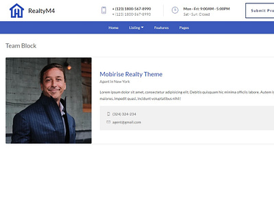 Mobirise Realty Theme - Team Block