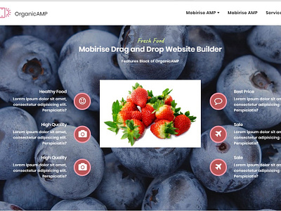 Mobirise Drag and Drop Website Builder -  Features Block