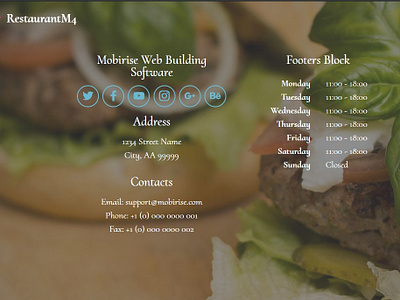 Mobirise Web Building Software -  Footers Block