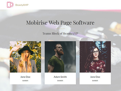 Mobirise Web Page Software - Teams Block of BeautyAMP