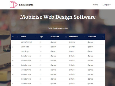 Mobirise Web Design Software —  Table Block EducationM4
