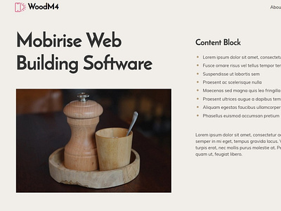 Mobirise Web Building Software —  Content Block