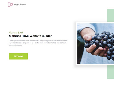 Mobirise HTML Website Builder — Features Block OrganicAMP bootstrap free html5 mobile responsive software webdesign webdevelopment website website builder