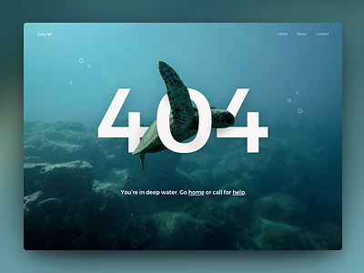 Daily UI #008 - 404 Page 008 404 404 page daily ui daily ui 008 deep water ocean page not found turtle ui unsplash