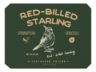 RED-BILLED STARLING bird birds sticker