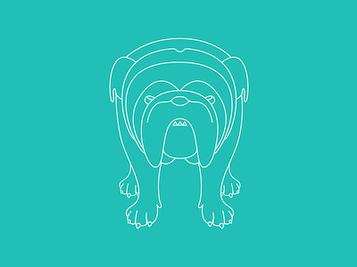 Ollie animal bulldog design detail iconography line stroke