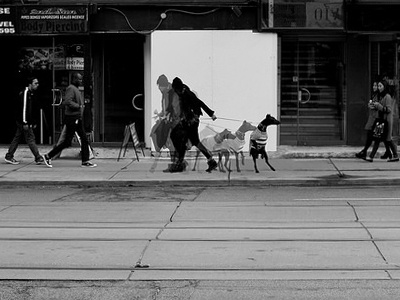 Animal Instinct beast citylife dog downtown nikon photography streetdreamsmag toronto