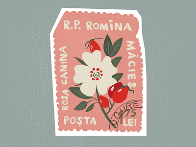 Vintage Stamp design illustration lettering stamp vintage