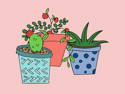 Potted Plants cactus design illustration plants