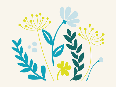 Floral elements design floral flowers illustration leaves nature