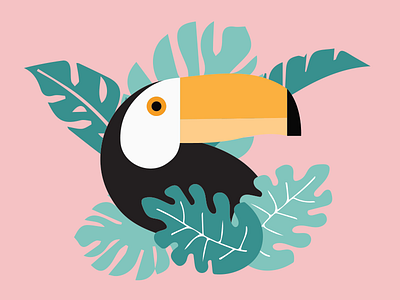 Tucan bird design graphic illustration tucan