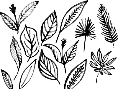 Leaf doodles doodle illustration leaf leaves sketch surface design