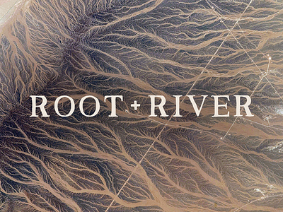 root + river branding brand branding identity logo logo design