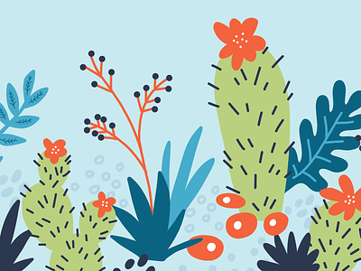 Cactus illustrations