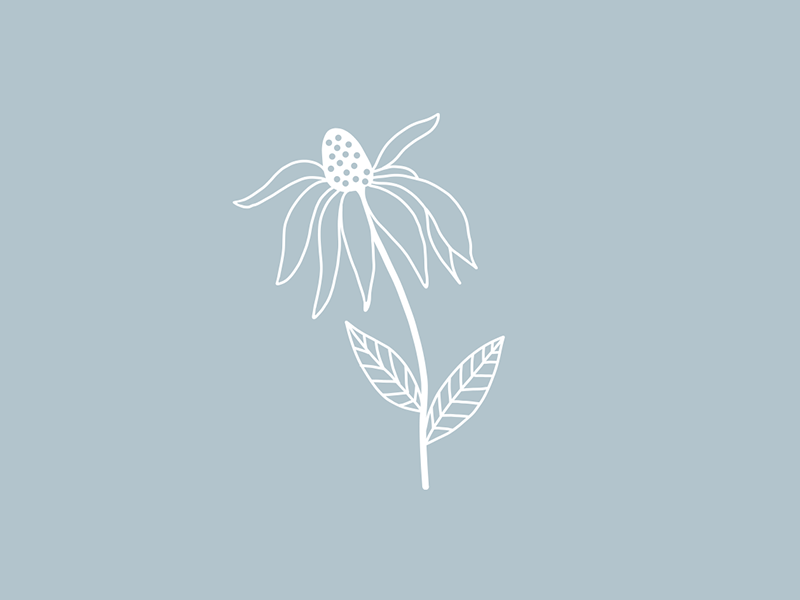 There is beauty in simplicity by Jen Pace Duran on Dribbble