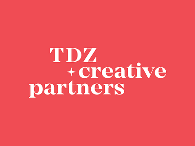 TDZ Creative Partners brand design brand design branding logo logo design visual identity