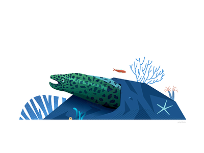 Eel eel illustration ocean reef starfish underwater