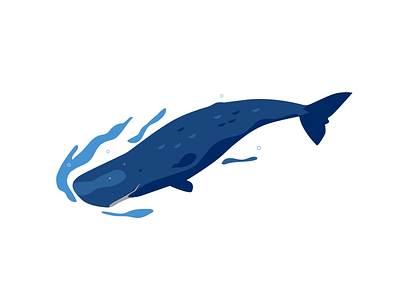 Sperm Whale diving marine ocean sperm whale swimming underwater whale