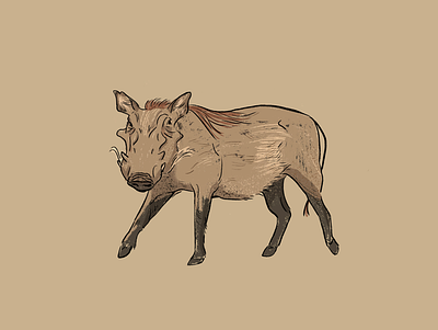 Warthog illustration procreate warthog