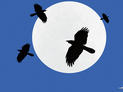 Moonlight birds 3d animation branding graphic design logo motion graphics ui